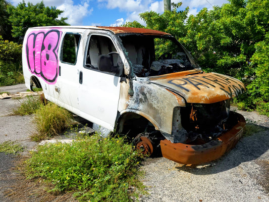 patria vida horizontal A